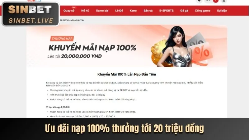 Chương trình hoàn trả hàng ngày tại 33bet app